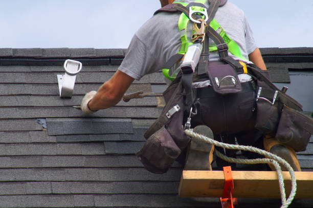 Best Roof Gutter Cleaning  in Floydada, TX